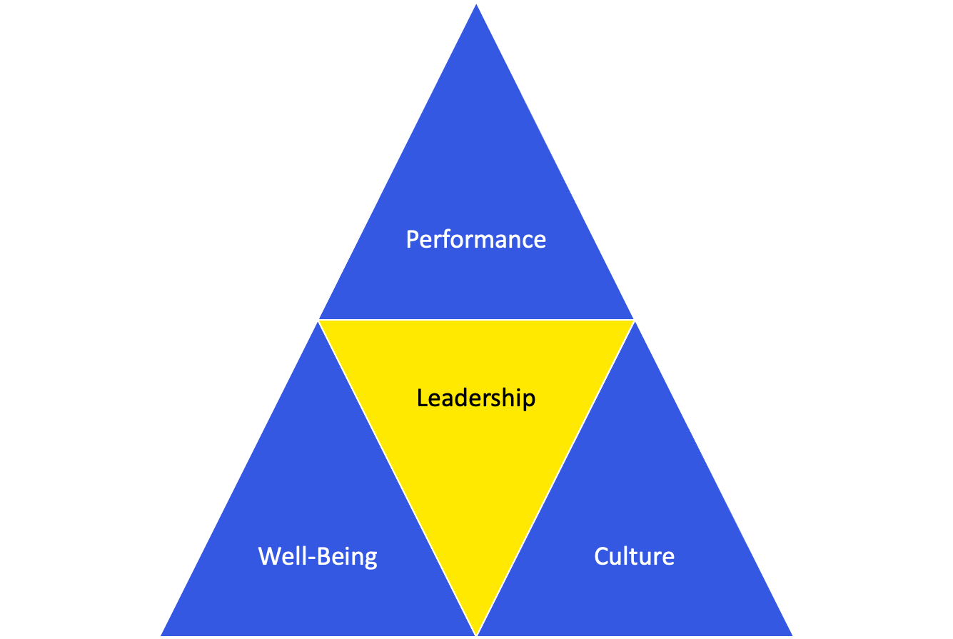 Performance, Leadership, Well-Being, Culture